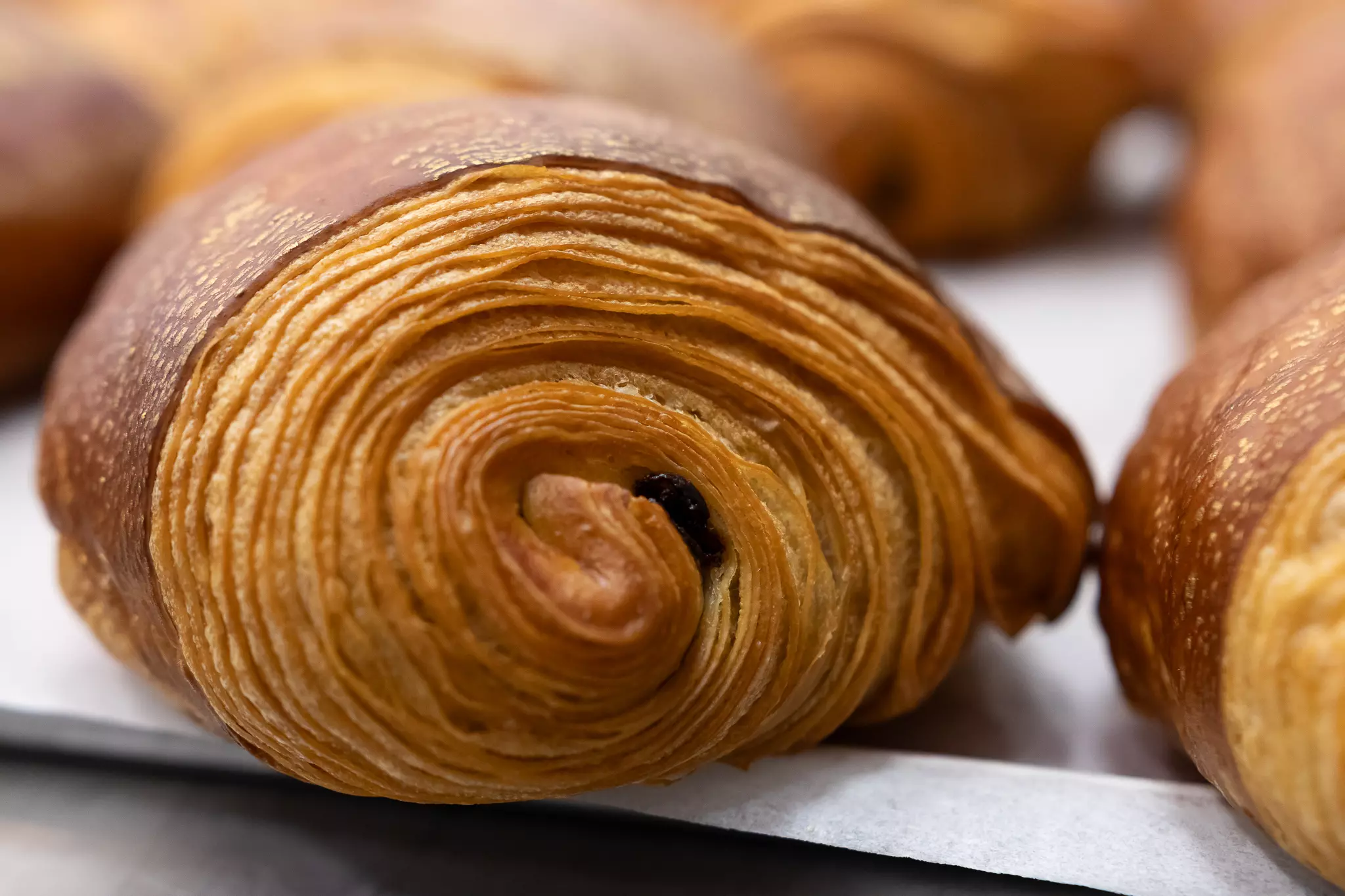 Szkolenie piekarsko- cukiernicze KLASYCZNE FRANCUSKIE WYPIEKI - Jacek Mucha & Wiesław Kucia - obrazek 13