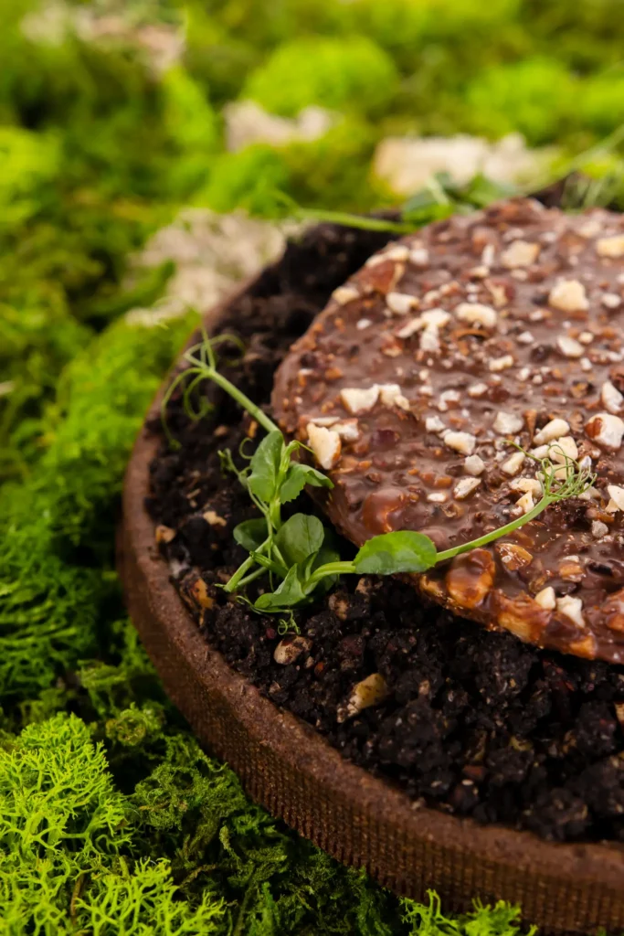 Tarta czekoladowa z orzechami na mchu