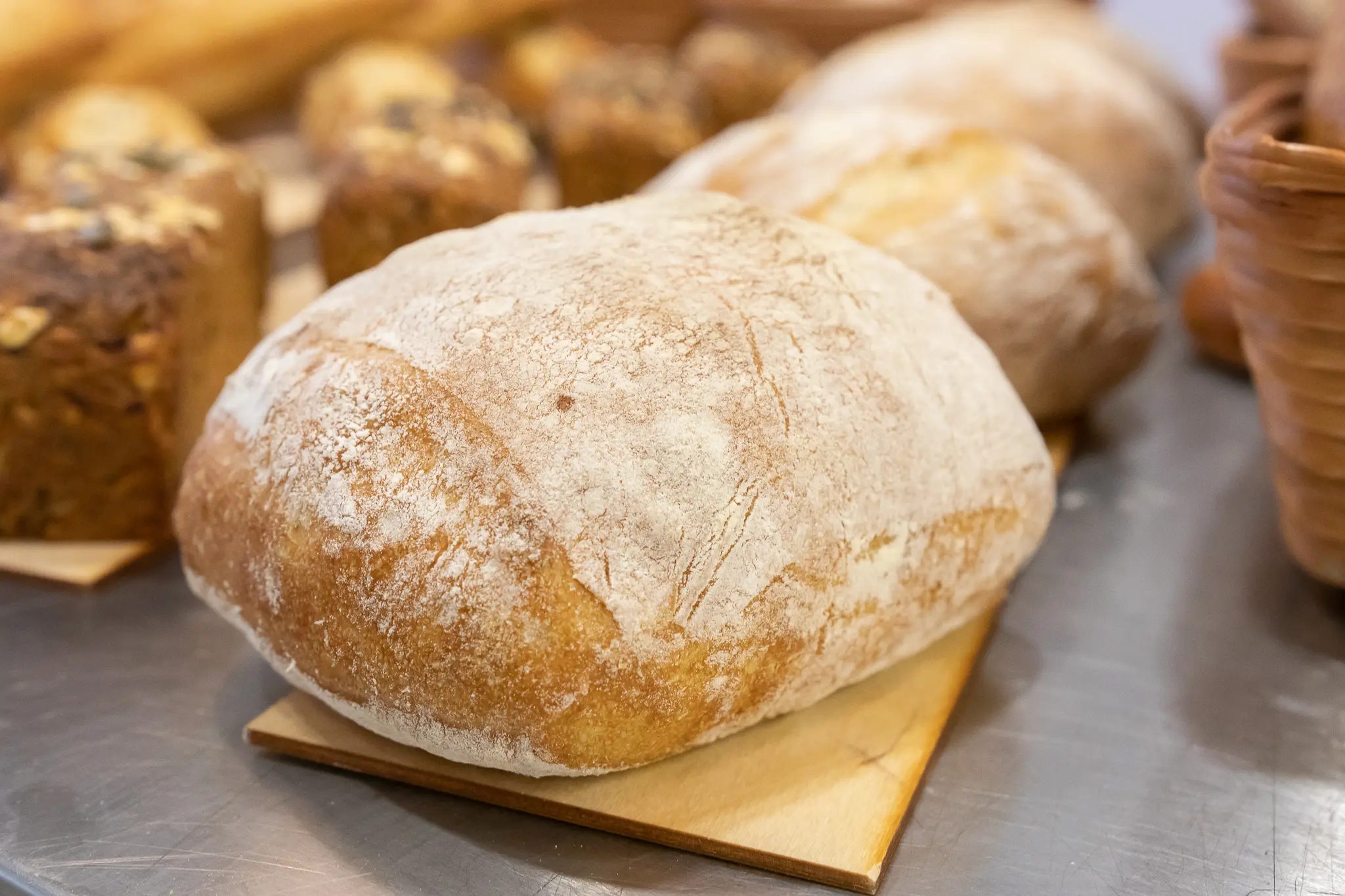 Szkoła Artystyczna Wiesław Kucia - ciabatta
