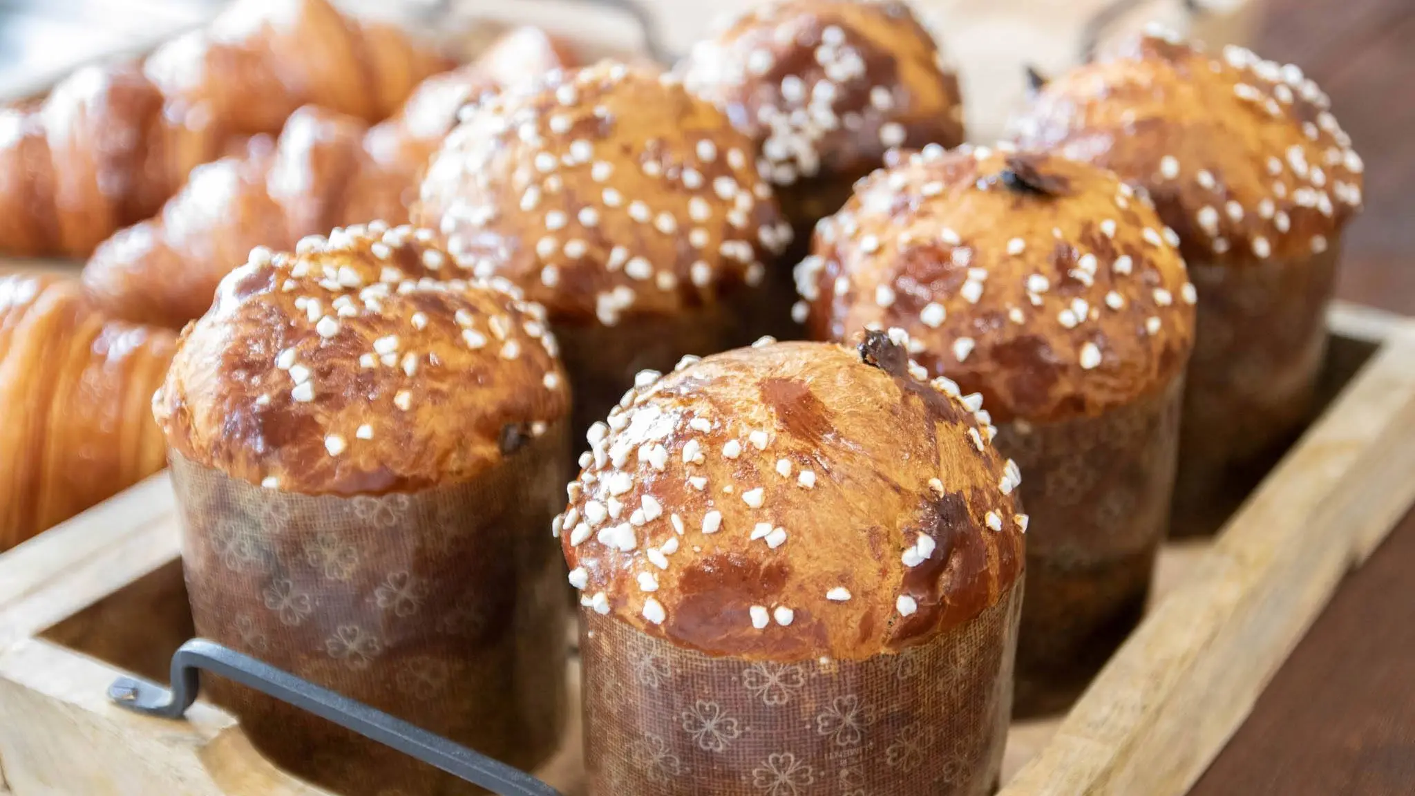 Szkoła Artystyczna Wiesław Kucia - panettone tradycyjna włoska babka drożdżowa na boże narodzenie