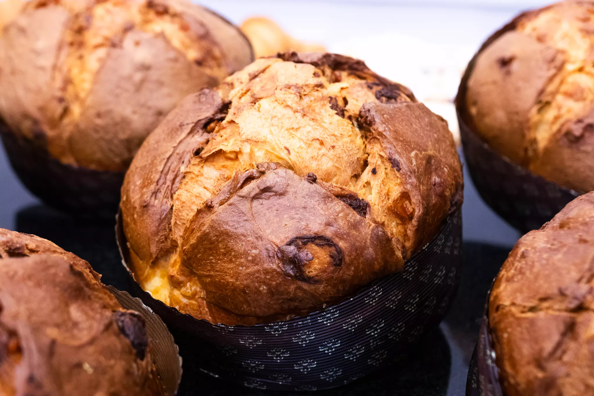Wielki kurs pieczenia PANETTONE z Mistrzem Wiesławem Kucią