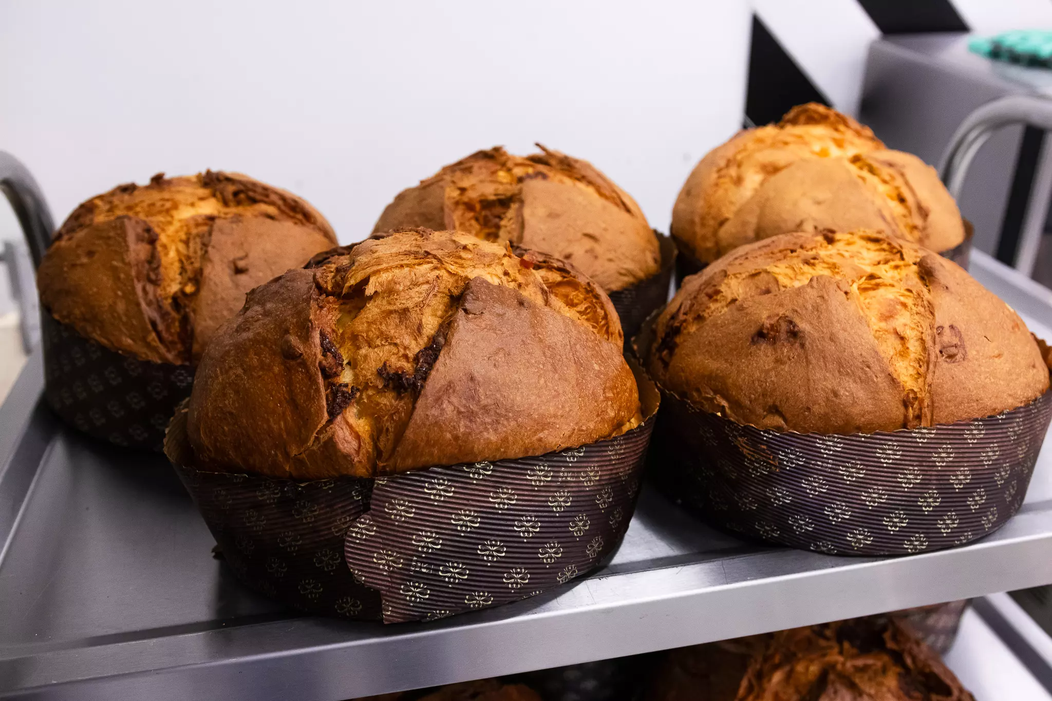 Wielki kurs pieczenia PANETTONE z Mistrzem Wiesławem Kucią - obrazek 5